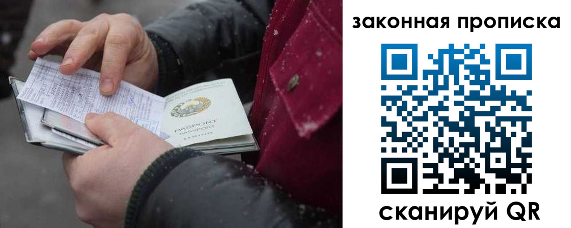 прописка поиск в Дальнегорске