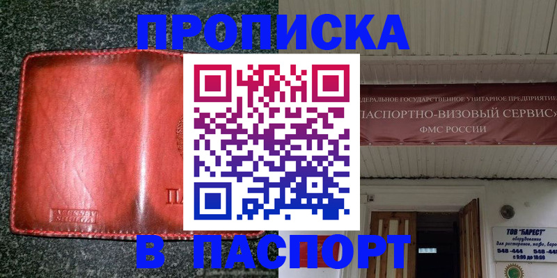 временная прописка в Дальнегорске